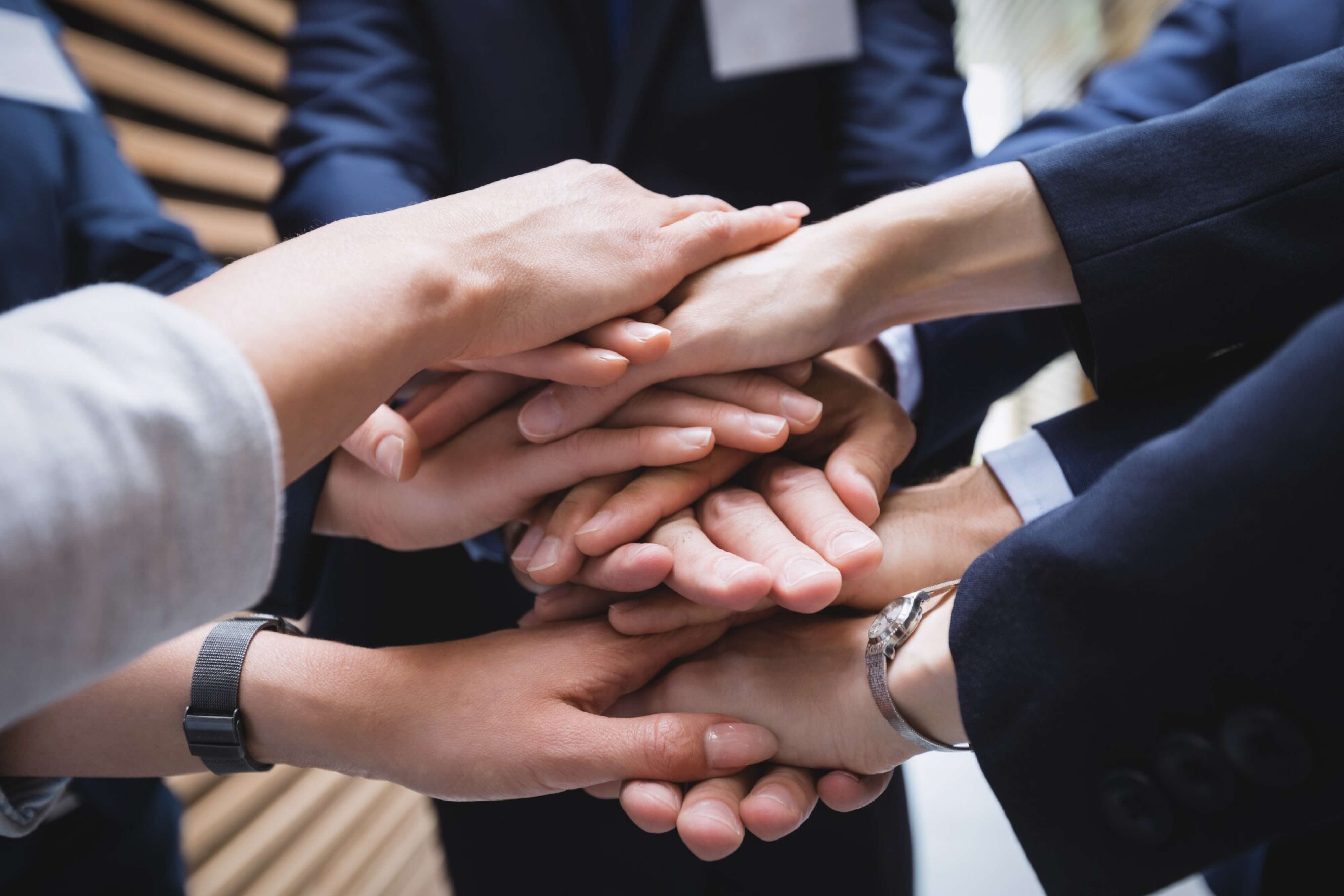 Our Partners